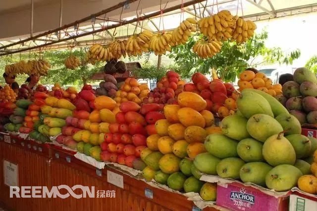 1657504509114034.jpg 3.jpg