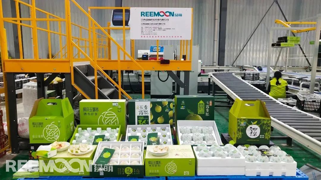 1663032382165333.jpg 圖為:經過分選包裝的玉露香梨.jpg