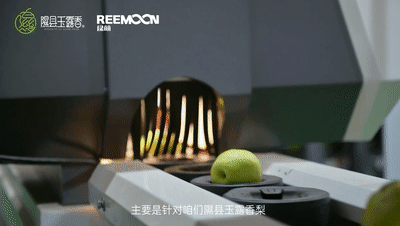1663032536179719.gif 香梨分級.gif
