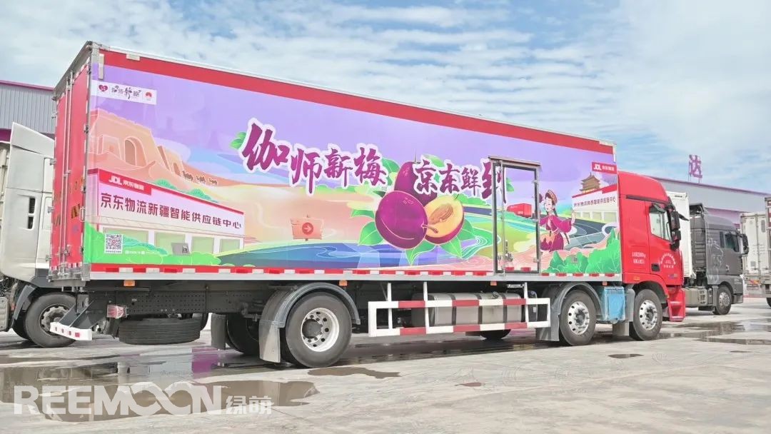 1663032887199701.jpg 西梅3.jpg