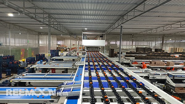 1663915487708175.jpg IMG_20220804_174405.jpg