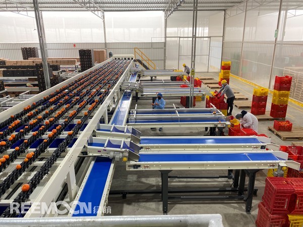 1663915529128981.jpg 秘魯 1.jpg