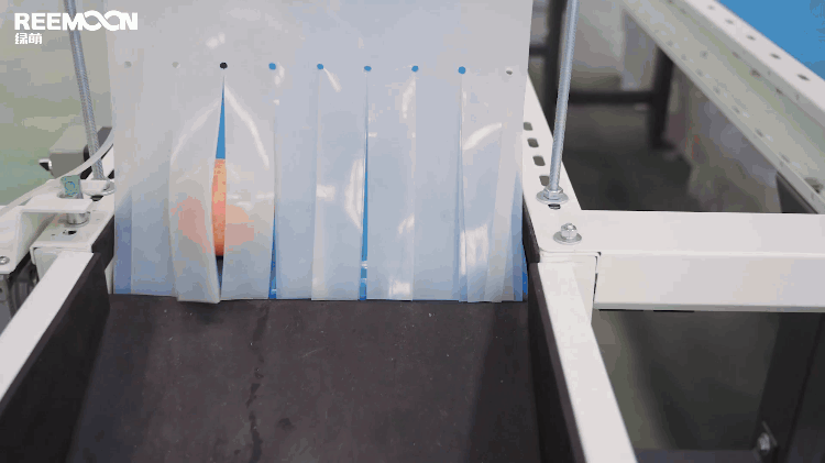 1693558508387808.gif 褐變.gif