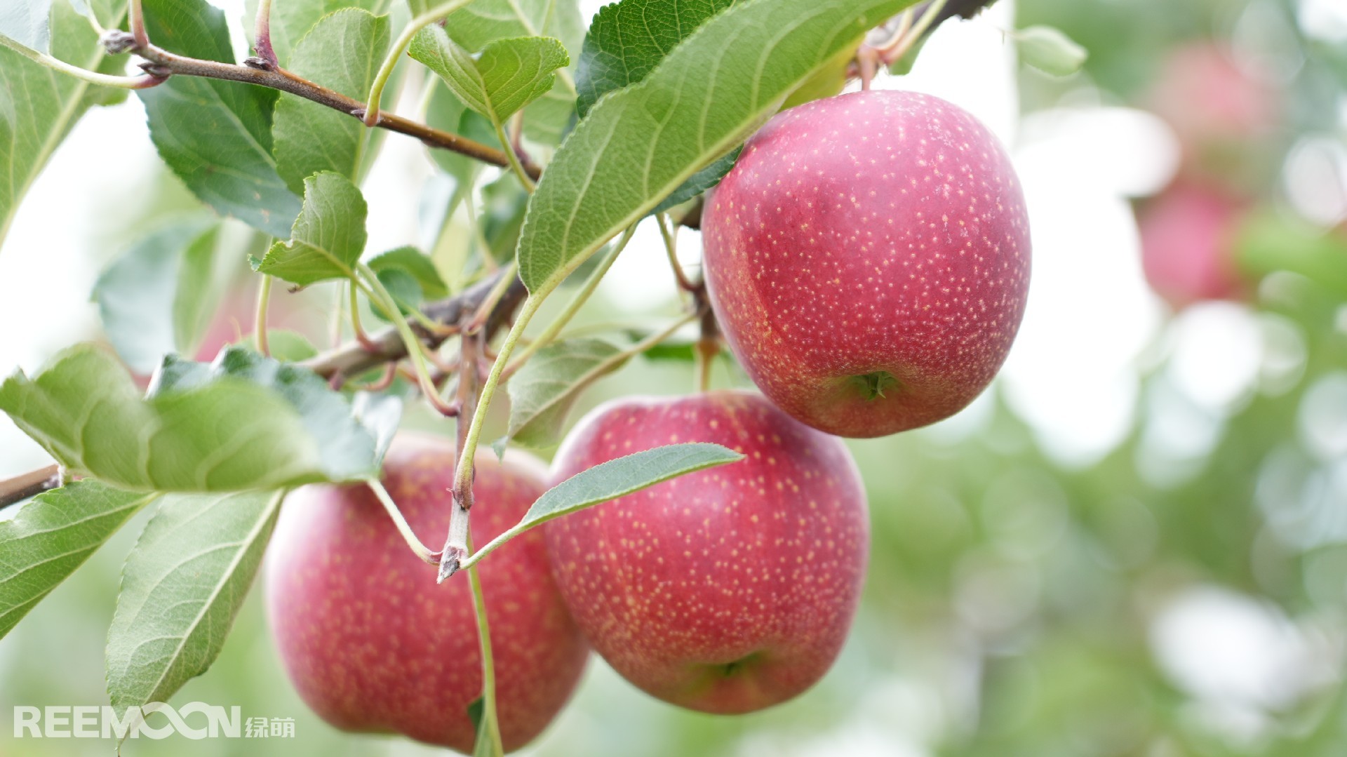 1693645005855332.jpg DSC01406.JPG