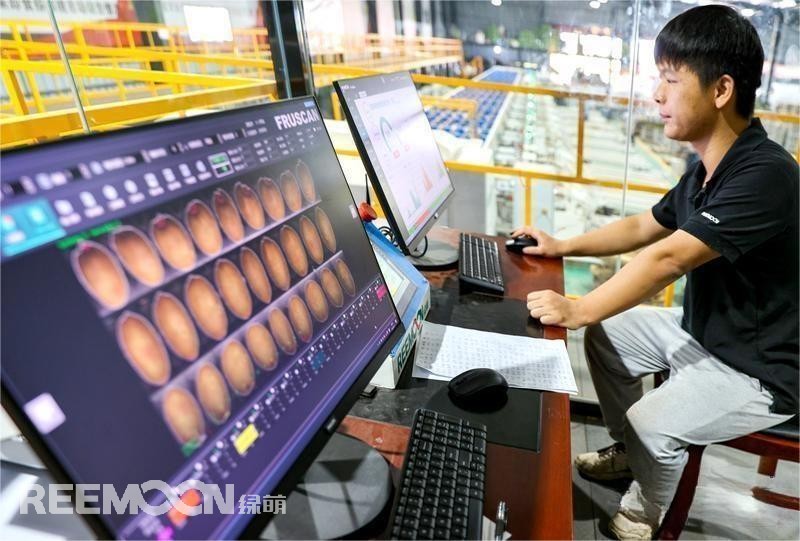 1695267830199000.jpg 1 - 副本.jpg