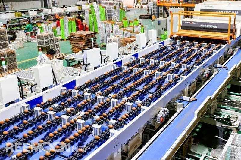 1695267867418866.jpg 5 - 副本.jpg