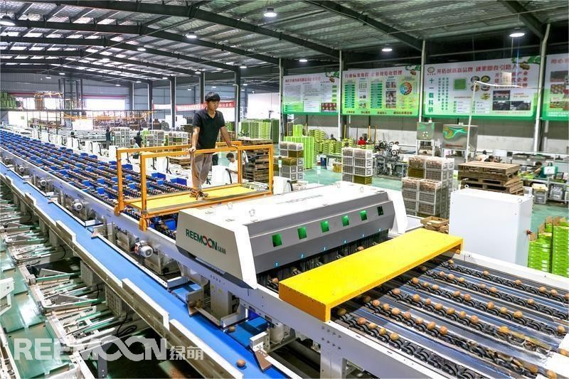 1695267908512829.jpg 3 - 副本.jpg