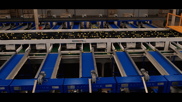 1695268754138752.gif 出口1 - 副本.gif