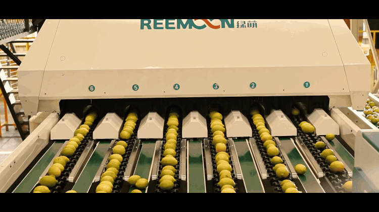 1695268804953076.gif 視覺1.gif