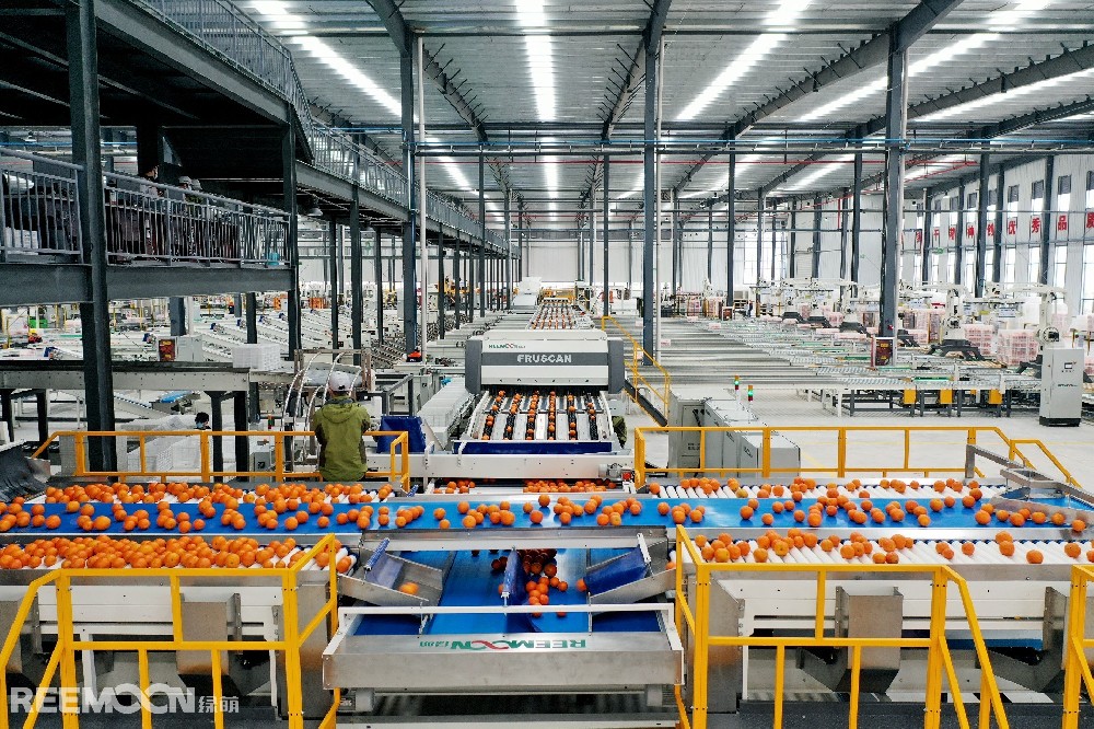 水果作為日常生活必不可少的食品之一，富含各種維生素、礦物質和纖維素,對我們的身體健康有著重要的作用。世界上水果種類繁多，而說到其中最復雜的水果家族，就不得不提柑橘家族。柑橘800萬年前起源于喜馬拉雅地區，是人類采食利用最早的水果之一。幾百萬年的自然選擇，4000多年的人為參與。讓柑橘成為了一個家族內部成員關