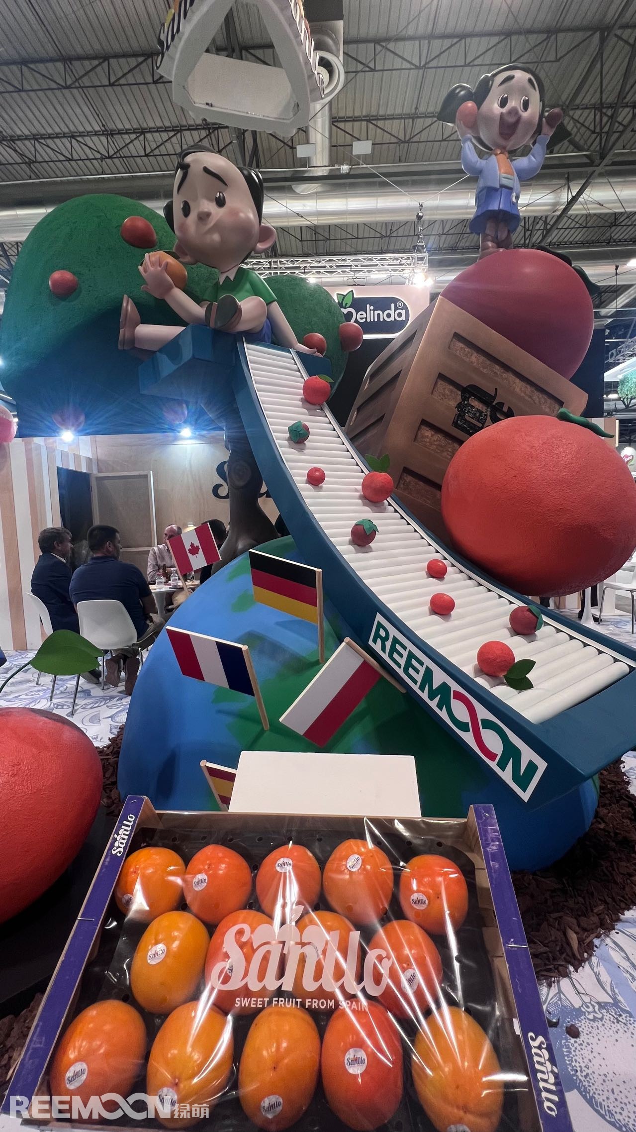 1696813532104868.jpg mmexport1696344749165.jpg