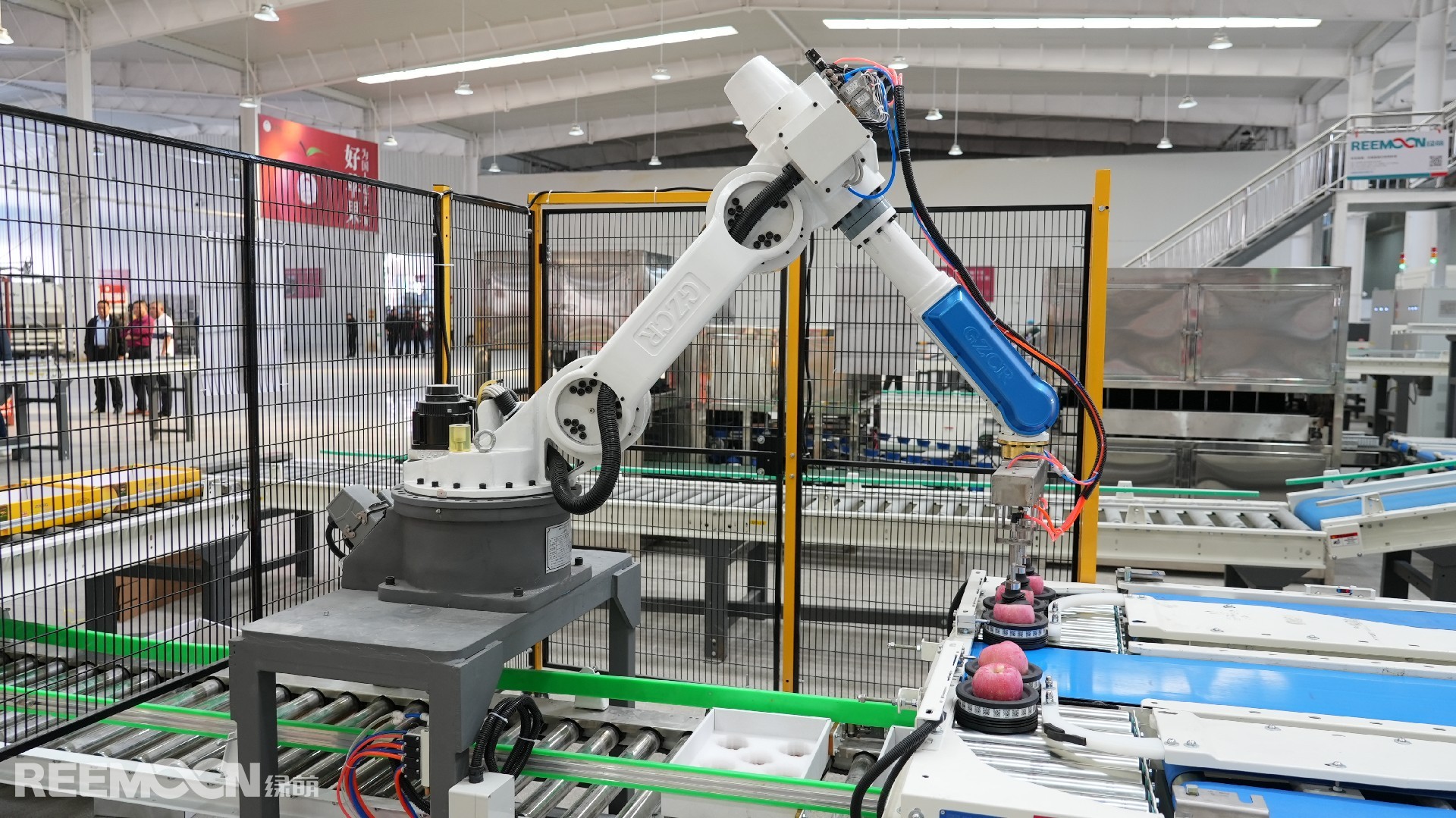 1697594541751158.jpg DSC03151.JPG