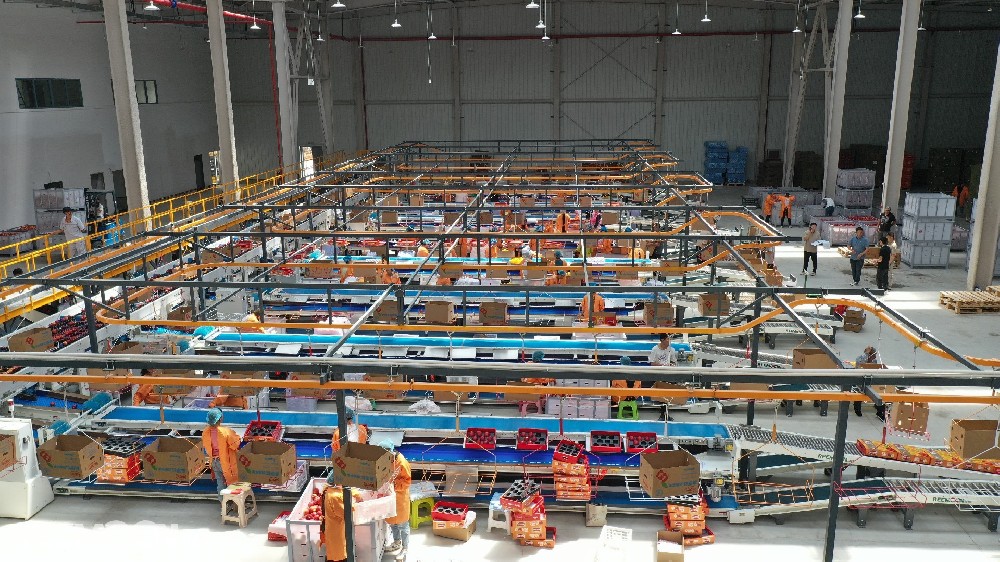 文來源：新華社記者：孫敏綠萌果蔬分選，贊1 ?*視頻來源：新華社地處烏蒙山區腹地的云南省昭通市是我國南方優質蘋果生產基地，昭通蘋果甜脆可口，深受消費者喜愛。為了避免消費者買到外表光鮮的壞果，當地蘋果企業引進了我國自主研發的高科技產品綠萌智能分選線給每個蘋果做“CT”，將人類靠肉眼