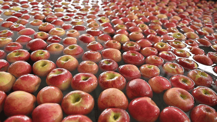 1703638667182392.gif 水式上料.gif