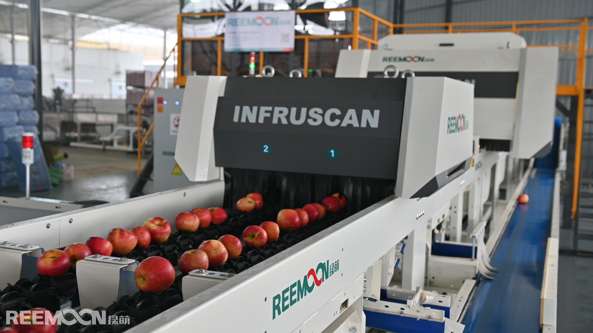 1703638688179161.jpg RM0_0496 - 副本.JPG