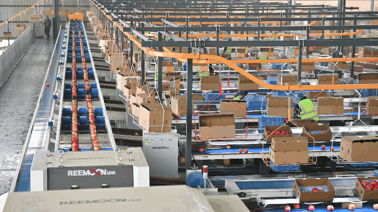 1703638750181393.gif 下載.gif