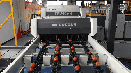 1711087390120782.gif 番茄空心.gif