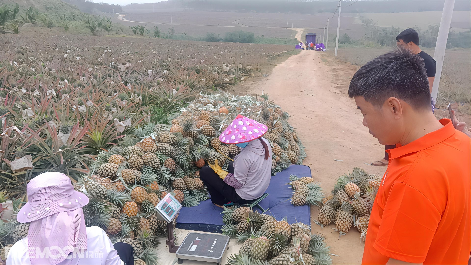 1714896897165408.jpg 1713841335486 - 副本.jpg