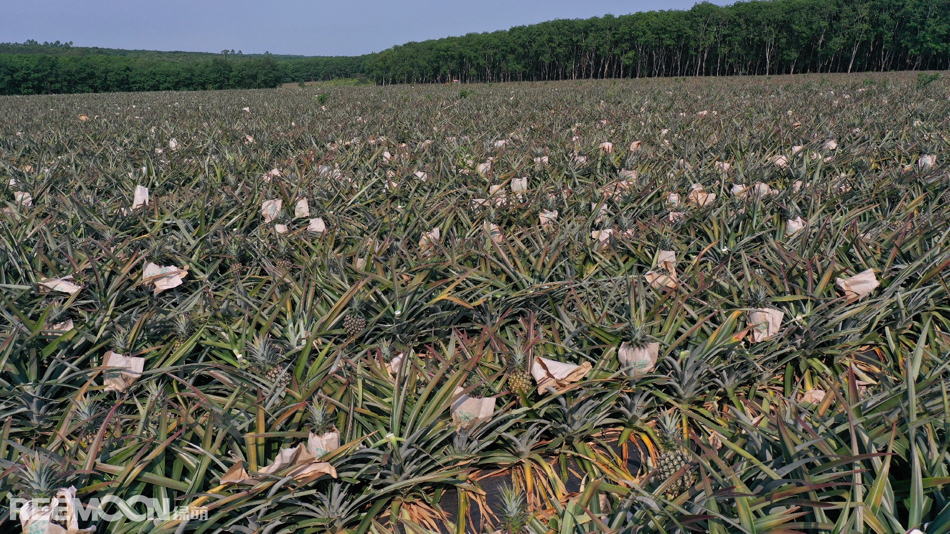 1714896968201273.jpg DJI_0571.JPG