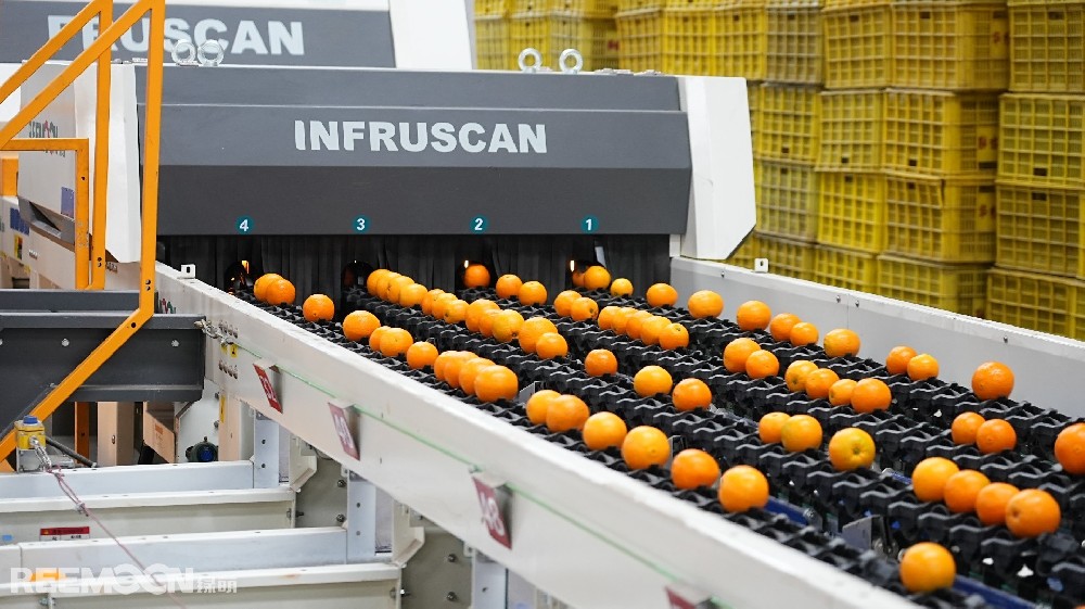 5月9日湖北日報“三農觀察”板塊聚焦“綠萌AI分選，精準檢測秭歸臍橙干水”全文如下↓來源｜湖北日報全媒記者｜劉勝通訊員｜鄭貝貝“今年春節的雨雪冰凍天氣對橙子的品質產生影響，少部分橙子因積雪覆蓋出現‘干水癥’，不好的口感影響了口碑。”5月是倫晚（臍橙的一種）上市季，秭歸縣果農陳光卻愁眉不展，往年這時節采購的