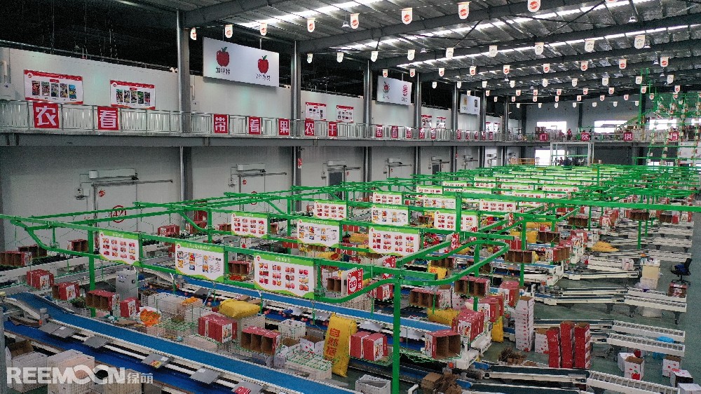 6月11日，走進洛川縣蘋果現(xiàn)代產(chǎn)業(yè)園區(qū)，在延安自然搭檔農(nóng)業(yè)發(fā)展有限公司智能分選車間，機械轟鳴，人頭攢動，幾十名工人有條不紊地在分選線上忙碌著。一個個色澤紅潤、大小勻稱的蘋果，正通過圓形硅膠托盤運上智能選果線，經(jīng)過檢測通道依次歸位，按照重量、甜度等被分成數(shù)個等級。工人們麻利地把分級后蘋果擺放至果箱內(nèi)，進行