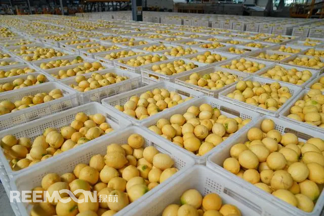 1735780258820252.jpg 1735780158582.jpg