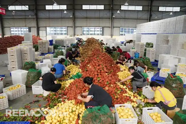 1735780265530606.jpg 1735780172691.jpg