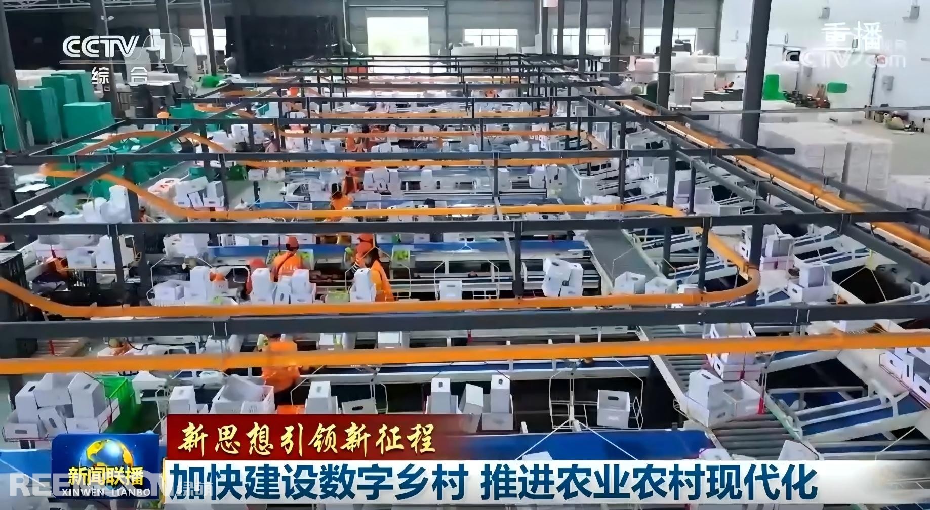 1737017929815338.jpg 1737010805541 - 副本.jpg