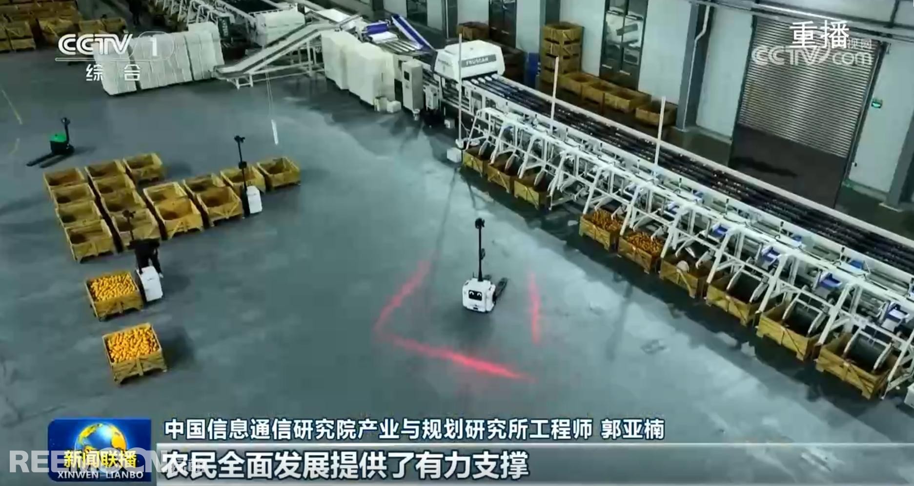 1737018073747495.jpg 1737010296420 - 副本 - 副本.jpg