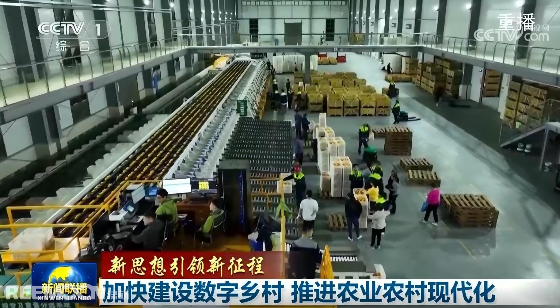 1737018113157355.jpg 1737014381337 - 副本 (2) - 副本.jpg