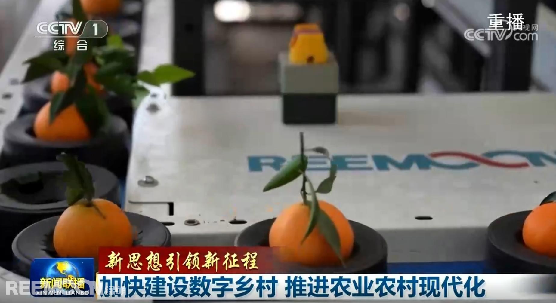 1737018145585796.jpg 1737010859319 - 副本 - 副本.jpg