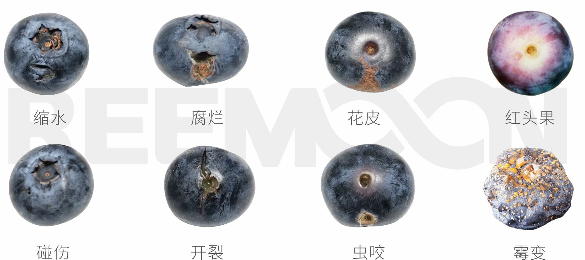 1739153568159925.jpg 微信圖片_20250205160404 - 副本.jpg