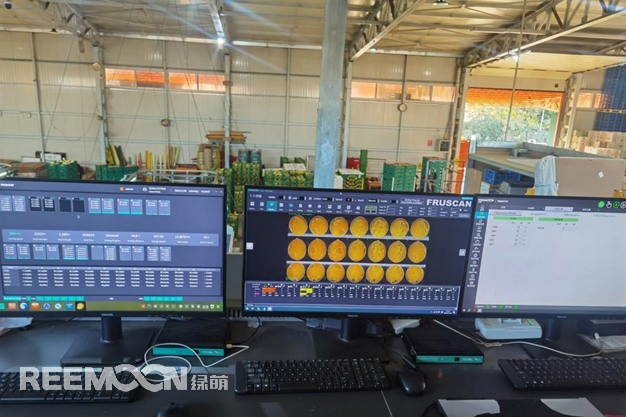 1739936222124397.jpg 1739936087805.jpg