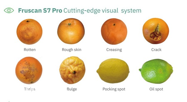 1739936230118774.jpg 1739936103791.jpg