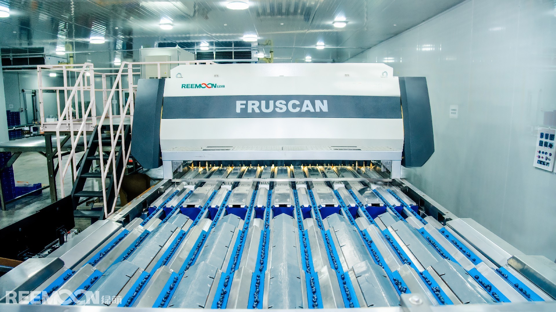 1740127758182290.jpg 綠萌藍莓十二通道.jpg