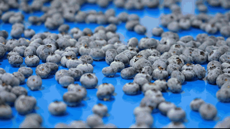 1740561692173943.gif 瑕疵識別.gif