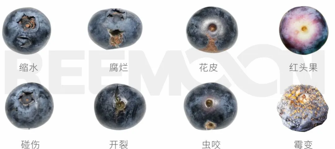 1740561704156319.jpg 1739346909922.jpg