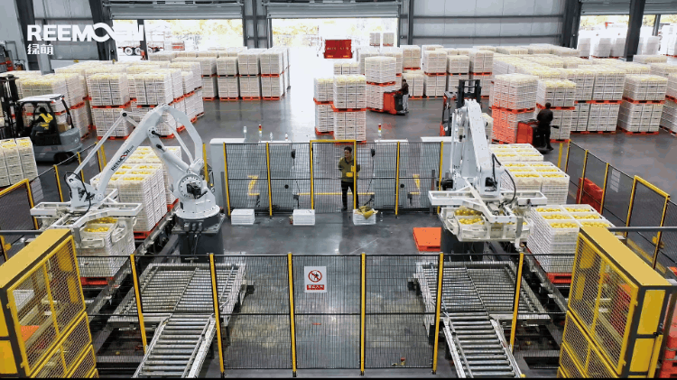 1742263140121914.gif 自動(dòng)上料 (1) - 副本.gif