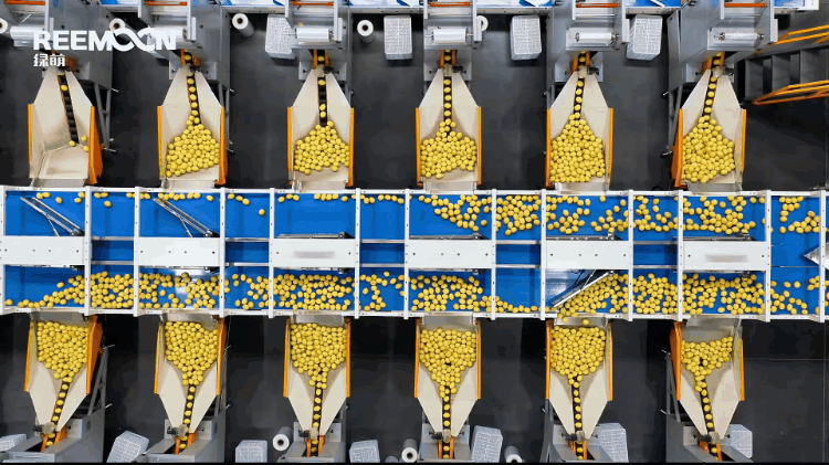 1742263242513100.gif 自動(dòng)包裝 - 副本.gif