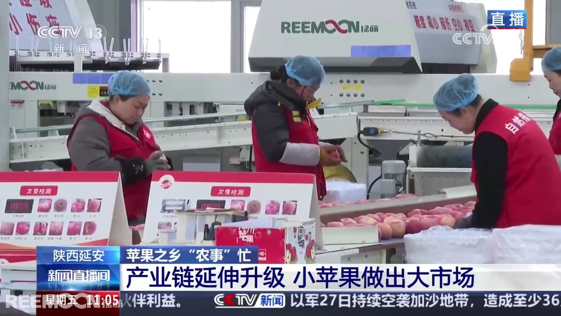 1743499259928137.png 5e7d07f262b92e65ea58656d457caba.png