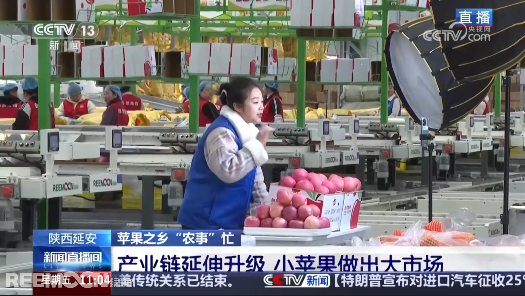 1743499356916444.jpg 1743489806366.jpg