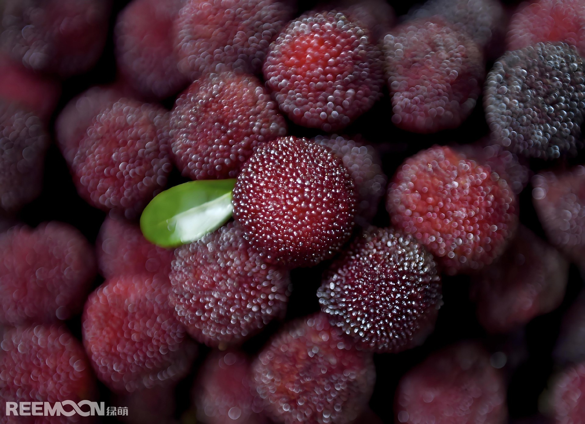 1750843706279711.jpg 1750490527016 - 副本 - 副本.jpg