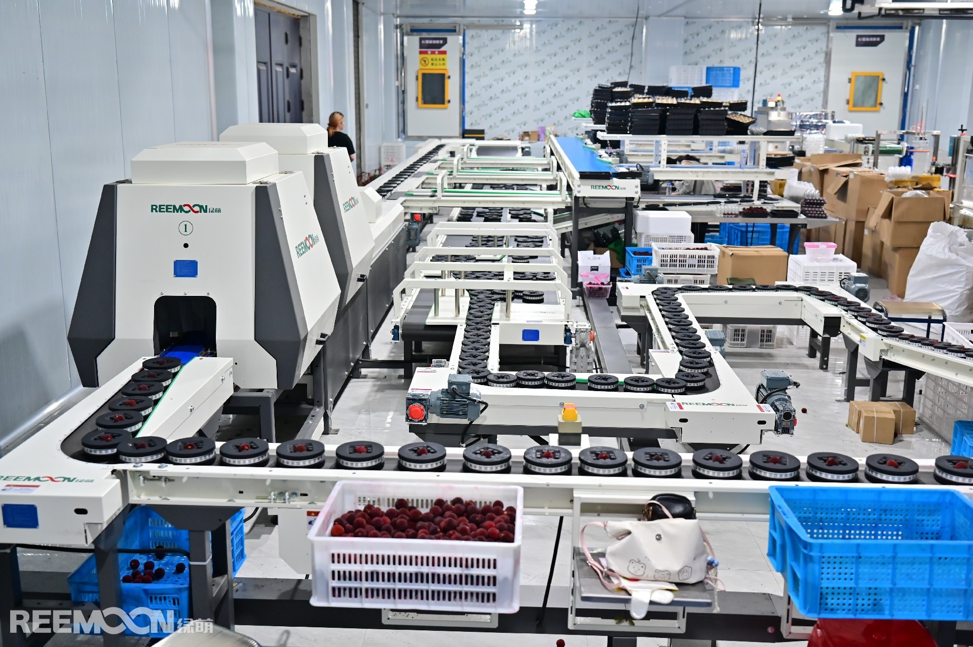 1750843968157253.jpg NZ6_2909(1) - 副本.JPG