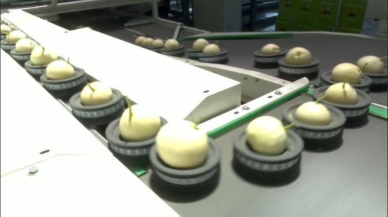 1752829008136947.jpg 220.jpg