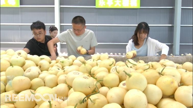 1752829014195952.jpg 221.jpg