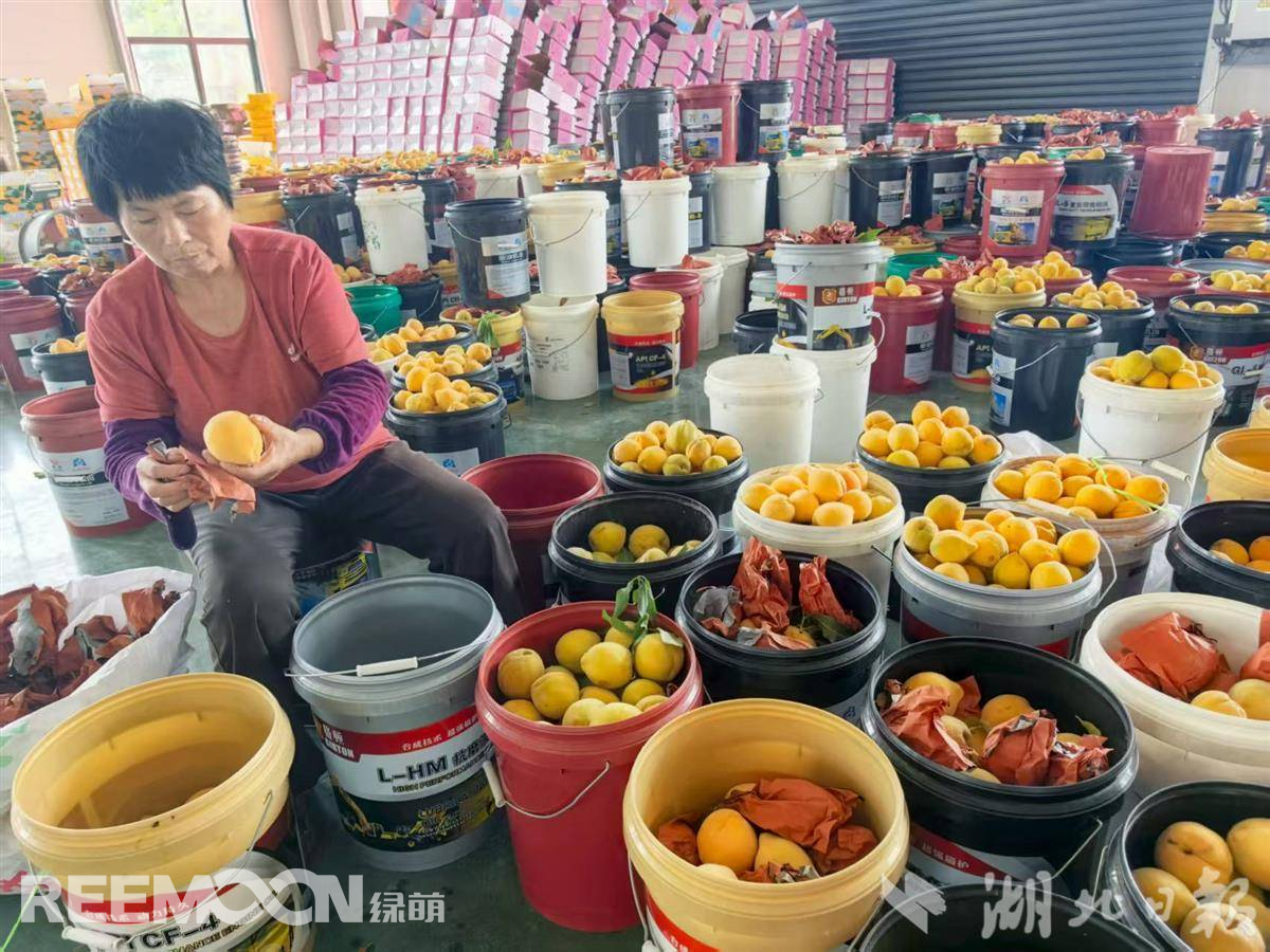 1755332968186604.jpg 1755325890919.jpg