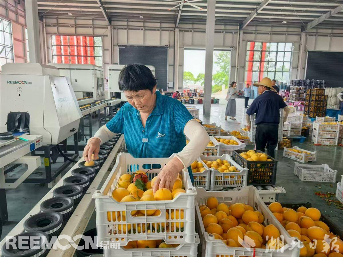 1755332976121023.jpg 1755325926149.jpg