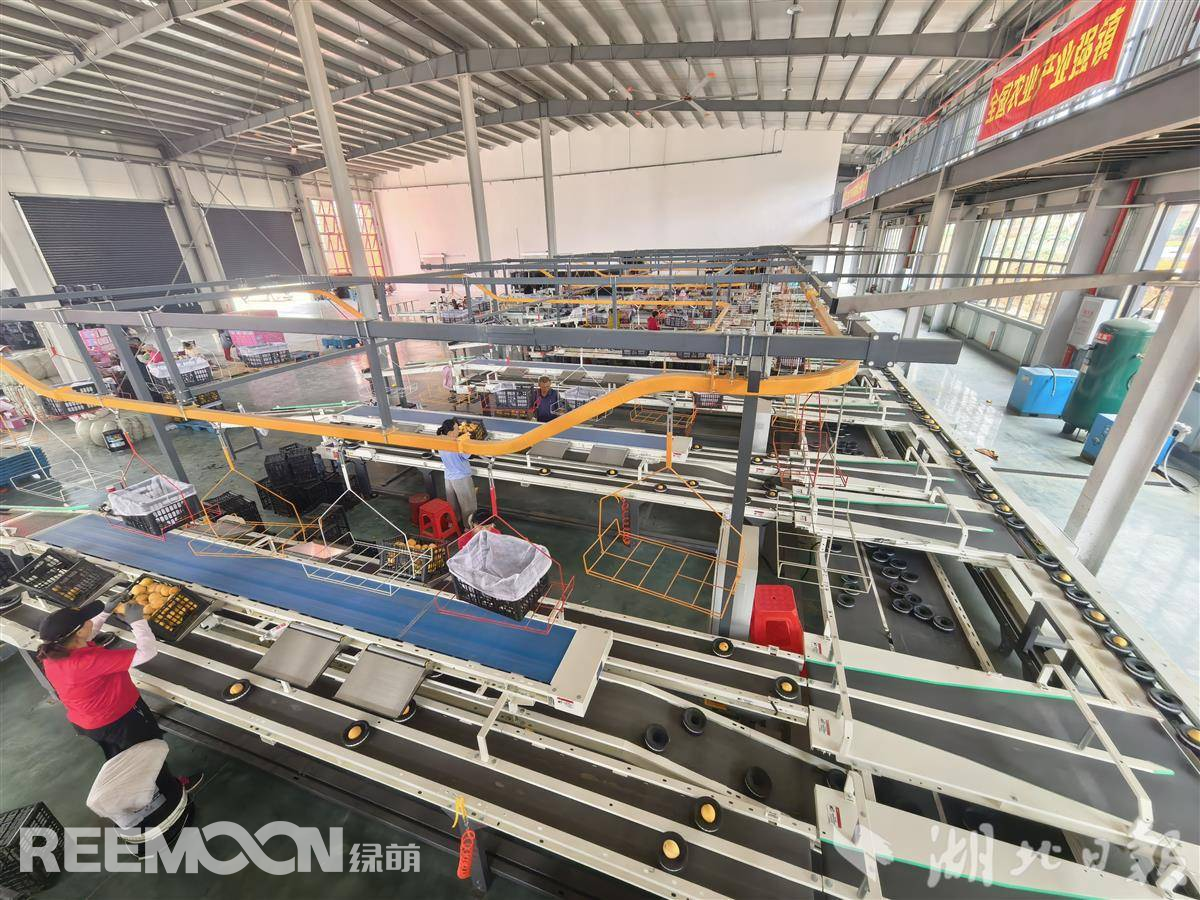 1755332993174700.jpg 1755325959009.jpg